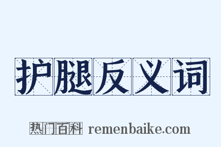护腿反义词是什么意思的图片